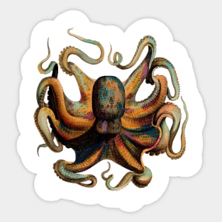 Vintage Octopus Illustration Sticker